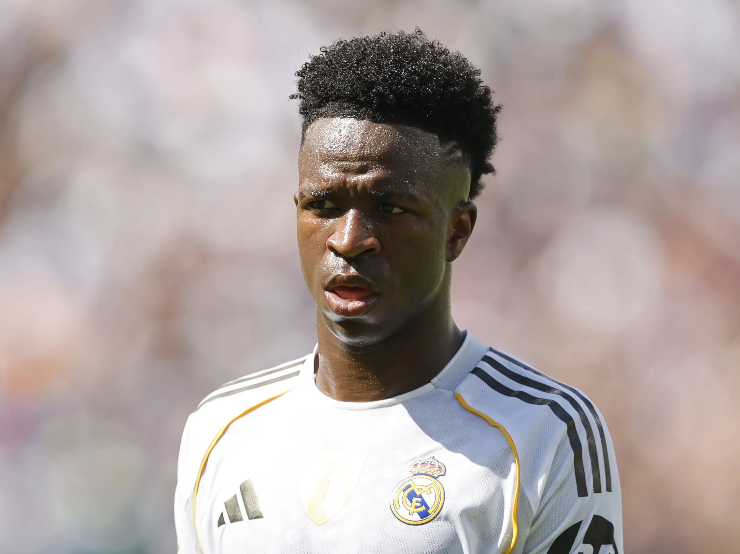 皇马传递了, 恢复